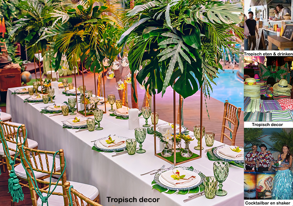 Aankleding tropisch decor